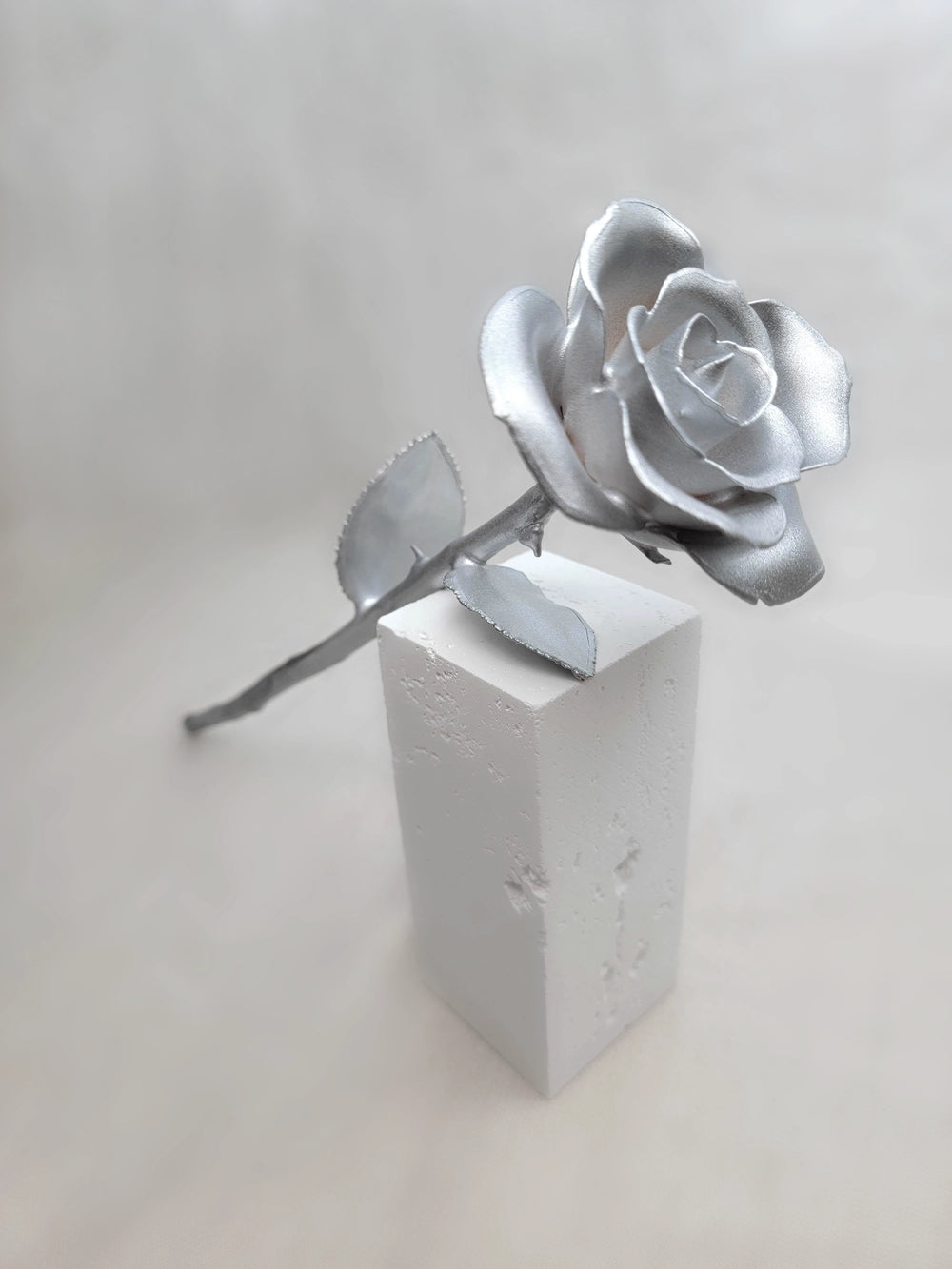 Silver Colored Flower Anniversary  Gift