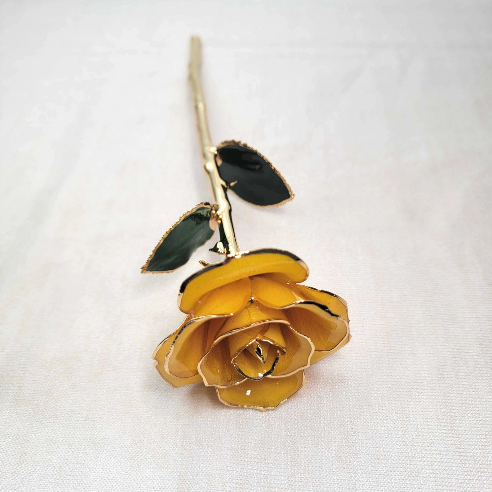 24k Gold Dipped Rose