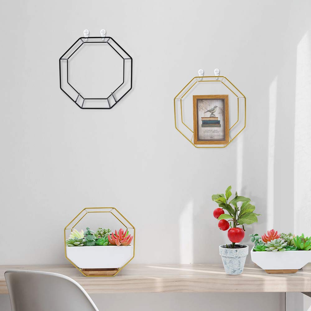 hexagon wall hanging planter Hanging Indoor Wall Planter
